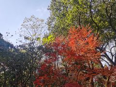 -汇龙潭