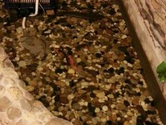 android_upload_pic-清悦酒吧咖啡馆