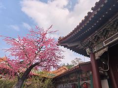 -珠海圆明新园