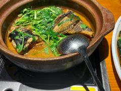 -九道菜有鸡鱼头(石鼓路店)