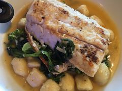 Today's&nbsp;special-Goocha Dizengoff