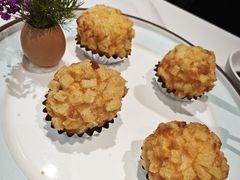-丁老爷子苏香圆