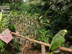 -南宫五洲植物乐园