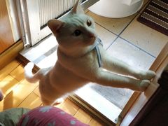 -护国寺小吃(安定门店)