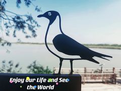 -野鸭湖国家湿地公园