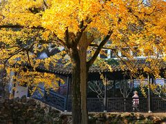 -惠山古镇·寄畅园