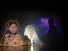 -合肥大剧院