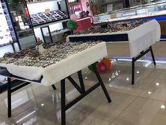 -三叶眼镜城·好视力眼镜店