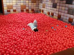 -珠海横琴国家地理探险家中心(创新方)