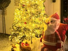 -弦月窗LUNETTE BY AMANDA(复兴路店)