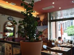 -安妮意大利餐厅(国贸店)