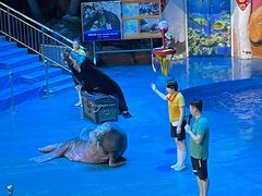 -烟台海昌鲸鲨海洋公园