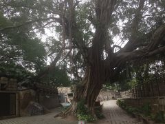 -胡里山炮台