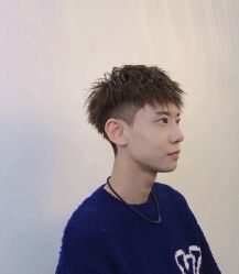 点击看大图 -IDOL-PLUS