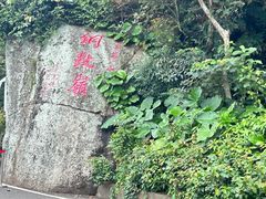 -海南铜鼓岭景区