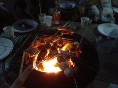 -晓港公园