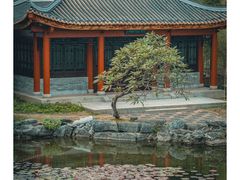 -顺峰山公园