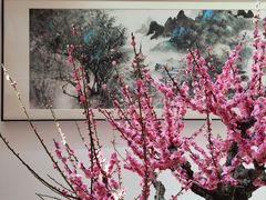 -无锡梅园公园