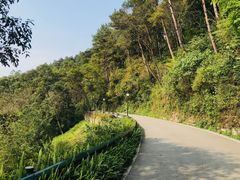 -三门江国家森林公园