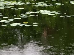 -二一九公园