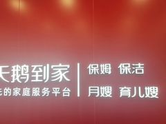 -天鹅到家·保姆月嫂育儿嫂(蔚蓝海岸店)