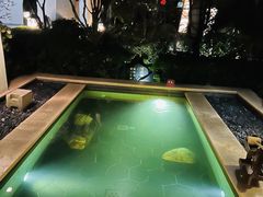 -苏州湾·王焰温泉