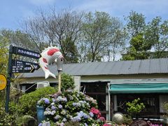 -湘力力小院·鱼汤泡饭(枫林路店)