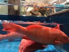 -钱塘宴(东站西子国际店)