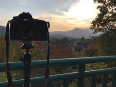 -塔川景区
