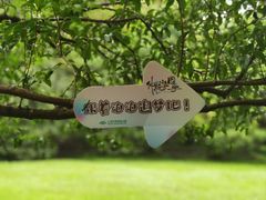 -上海共青森林公园