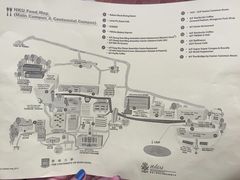 -香港大学