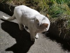 -杭州师范大学(下沙校区)