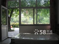 标准单间内看外边景色-十三陵山水雅园农家院