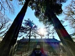 -潭柘寺景区
