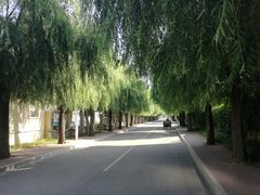 -南戴河旅游度假区
