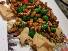 -陶缘一号·四季缘·老字号顺德菜·户外婚礼家宴(西滘店)