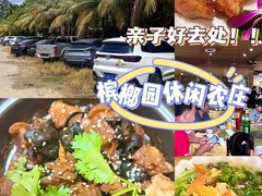 -兴隆槟榔园休闲农庄