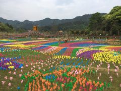 -千岛湖龙川湾