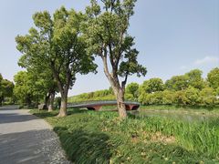 -养云安缦吧THE BAR