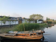 -白洋淀锅里口灶台鱼