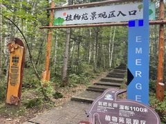 -汤旺河林海奇石景区