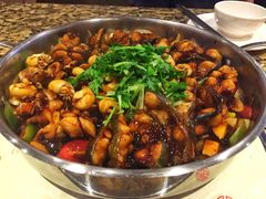 -黄记煌三汁焖锅(新世纪广场店)