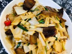 -遇龙河大樟树农家乐