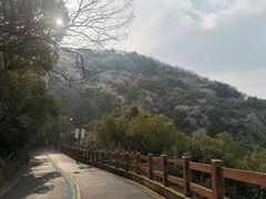 -杭州半山国家森林公园