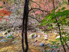 -本溪老边沟风景区