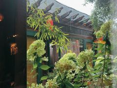 -慢丽江·云南野生菌土鸡锅(付家庄店)