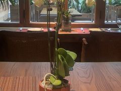 -翡翠鸟精品泰国菜(北辰财富中心店)