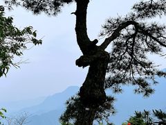 -含鄱口