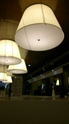 android_upload_pic-IRIS爱蕊丝形象