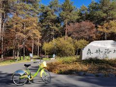 -长春净月潭风景名胜区